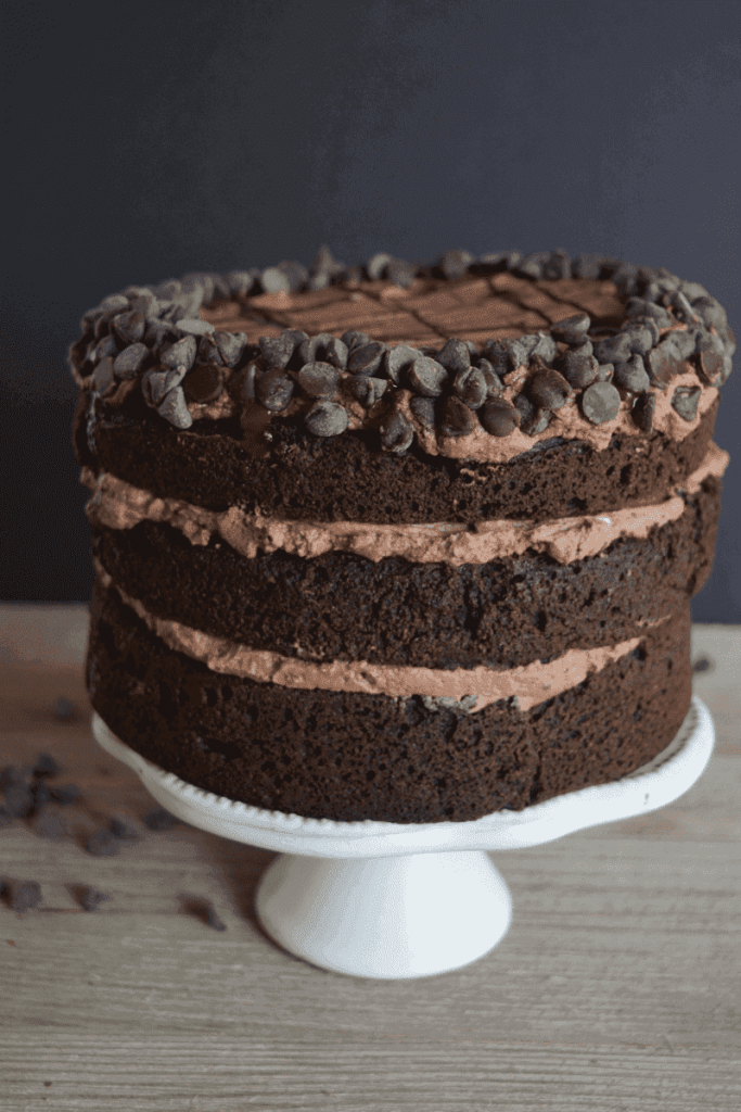 Keto Friendly Death by Chocolate Cake